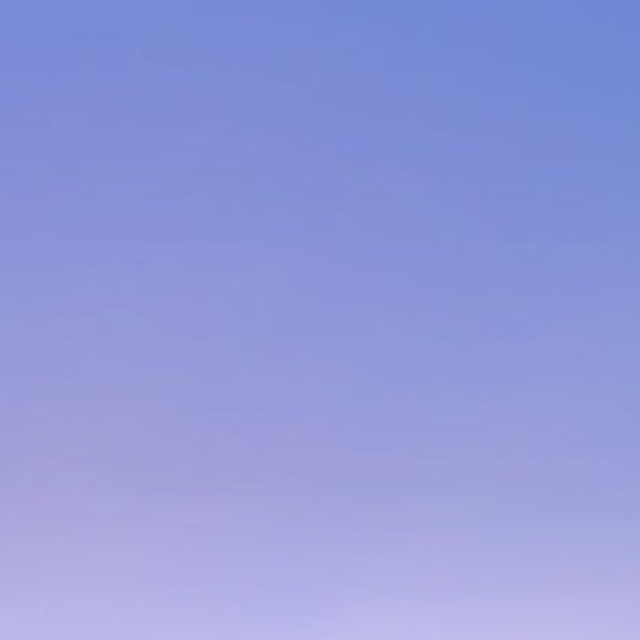 Meet your Posher, Saba - Picture 1 of 1